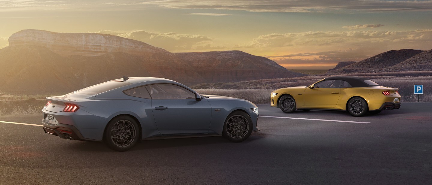 Two parked Mustangs facing each other