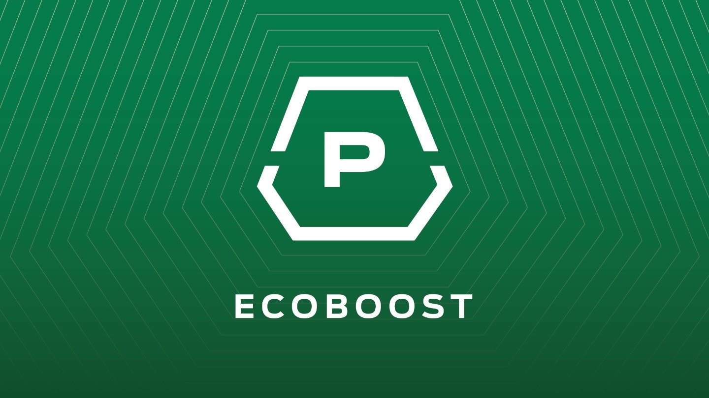 Ecoboost petrol icon