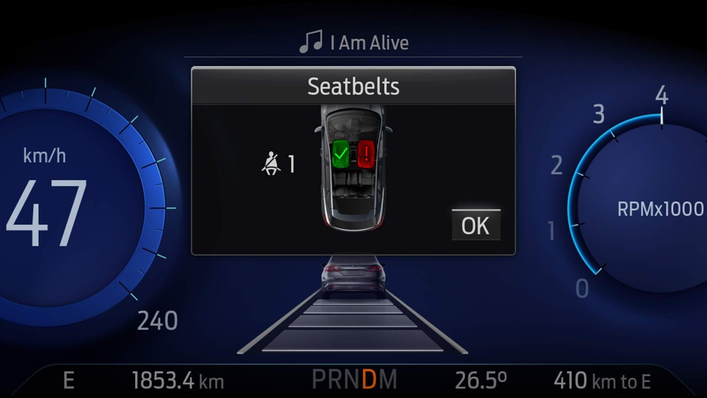 Seat belt reminder logo