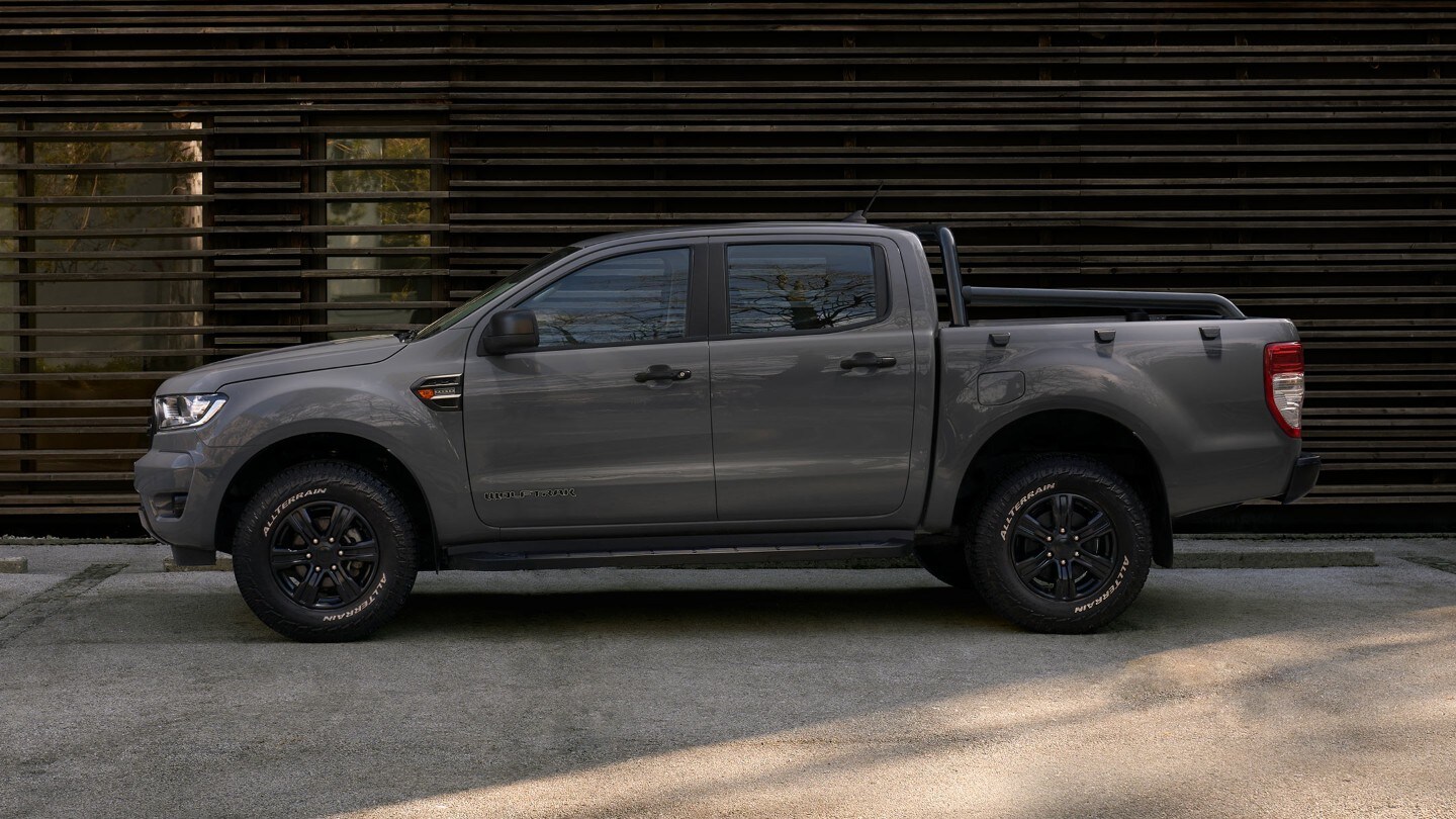 Gris basalte ford